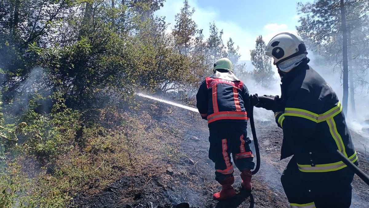 Havalar ısındı, orman yangınları başladı: 4 ilde alevler yükseldi
