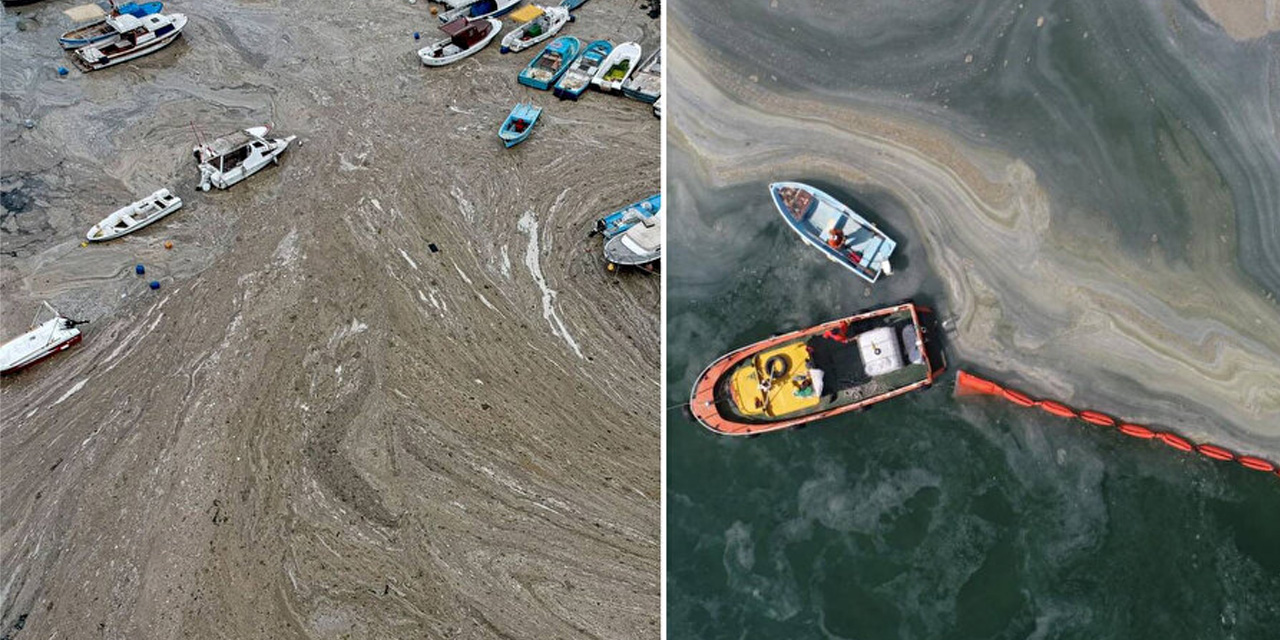Marmara Denizi'nde büyük tehlike: Bilim insanlarından müsilaj uyarısı!