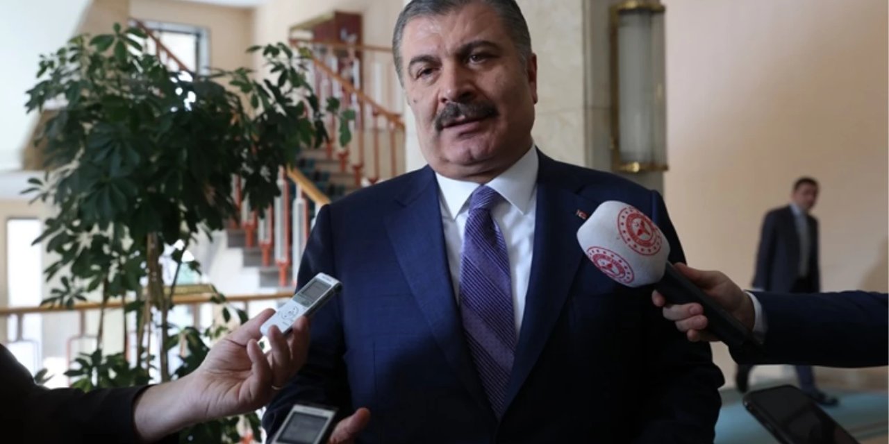 Bakan Koca'dan sokak hayvanları açıklaması: 'İnsani olarak gönlüm ötanaziden taraf değil'