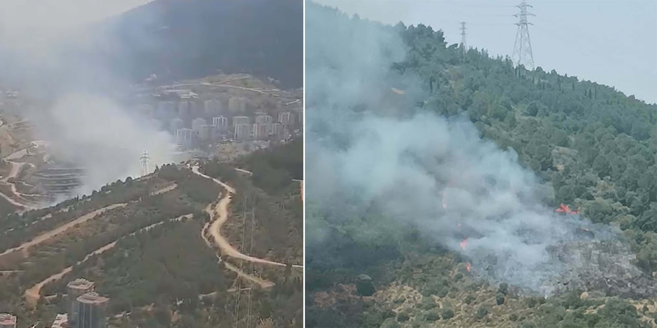 İzmir'de orman yangını