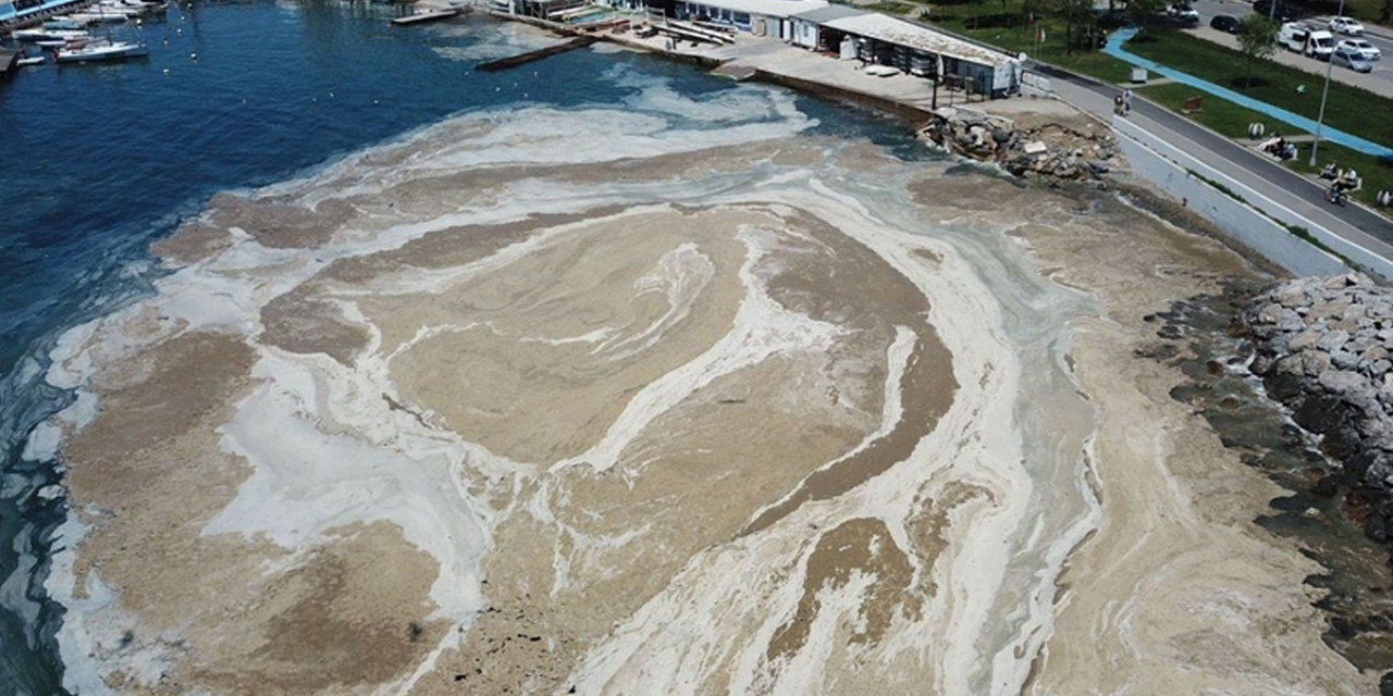 Müsilaj artışı ve çevre kirliliği uyarısı: Bilim insanları endişeli