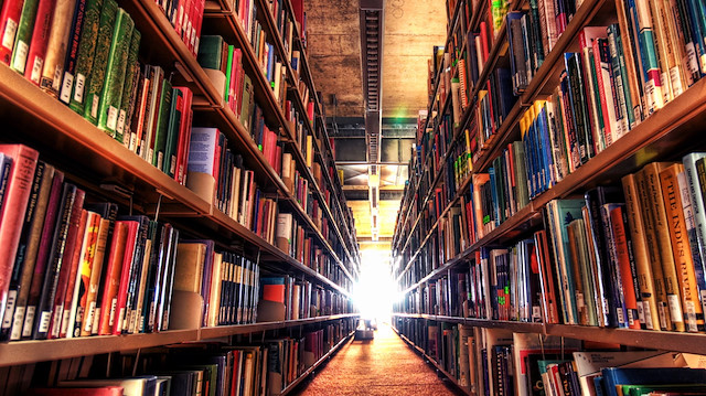 Kitap yasakları hakkındaki kitap yasaklandı