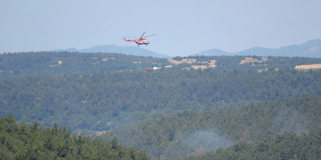 Çanakkale'de orman yangını