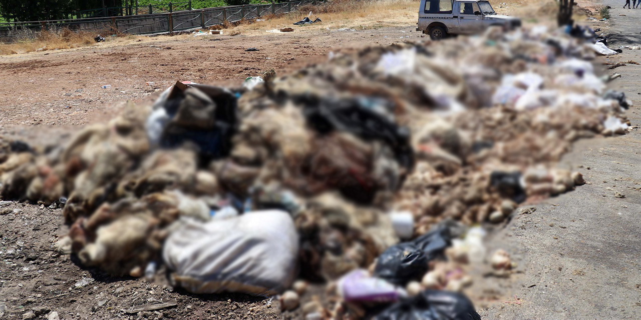 Yol kenarlarına atılan yüzlerce kurban derisi ve atık tepki topladı