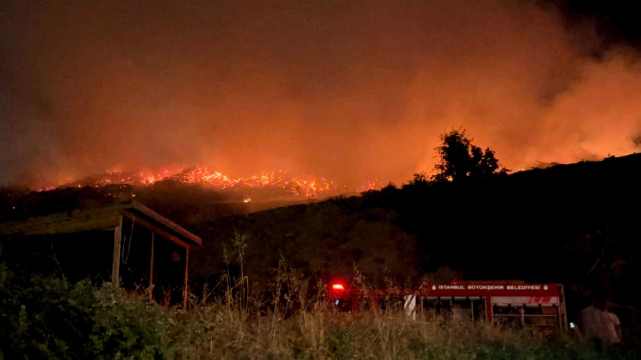 Sarıyer'de otluk alanda yangın: Alevler her yeri sardı