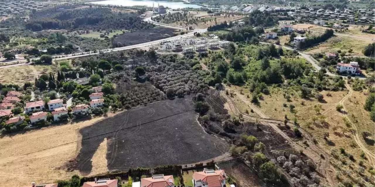 İzmir'deki yangın 4 saatte kontrol altına alındı, 15 hektar zeytinlik zarar gördü