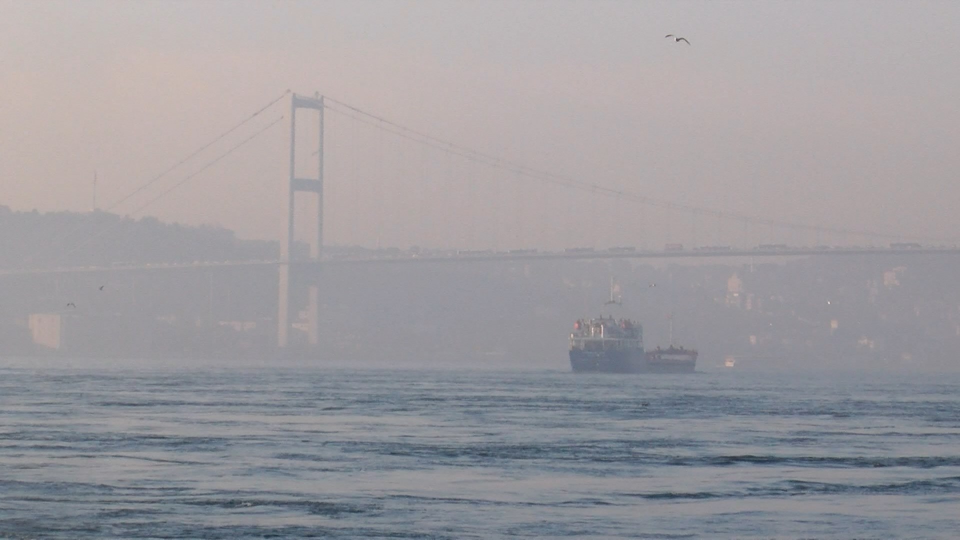 İstanbul'da sis etkisiyle vapur ve uçak seferleri iptal edildi