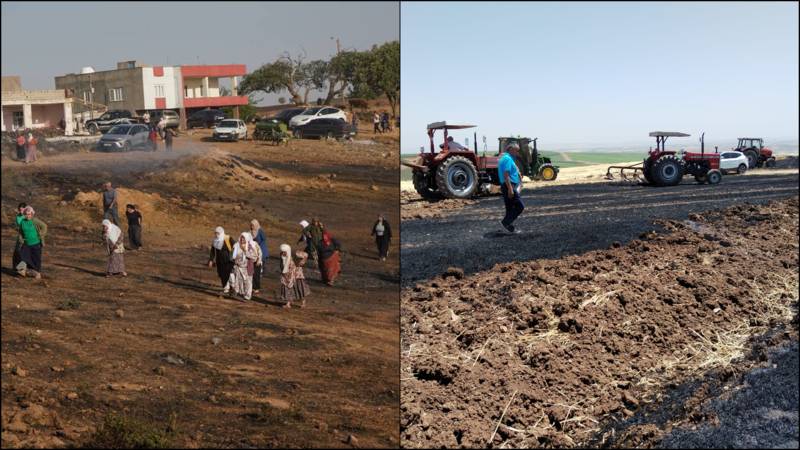 Diyarbakır'da yangınlarda 10 bin dönüm tarım arazisi yok oldu: Bakanlık, hasar tespiti için afet bölgesi ilan etmeli