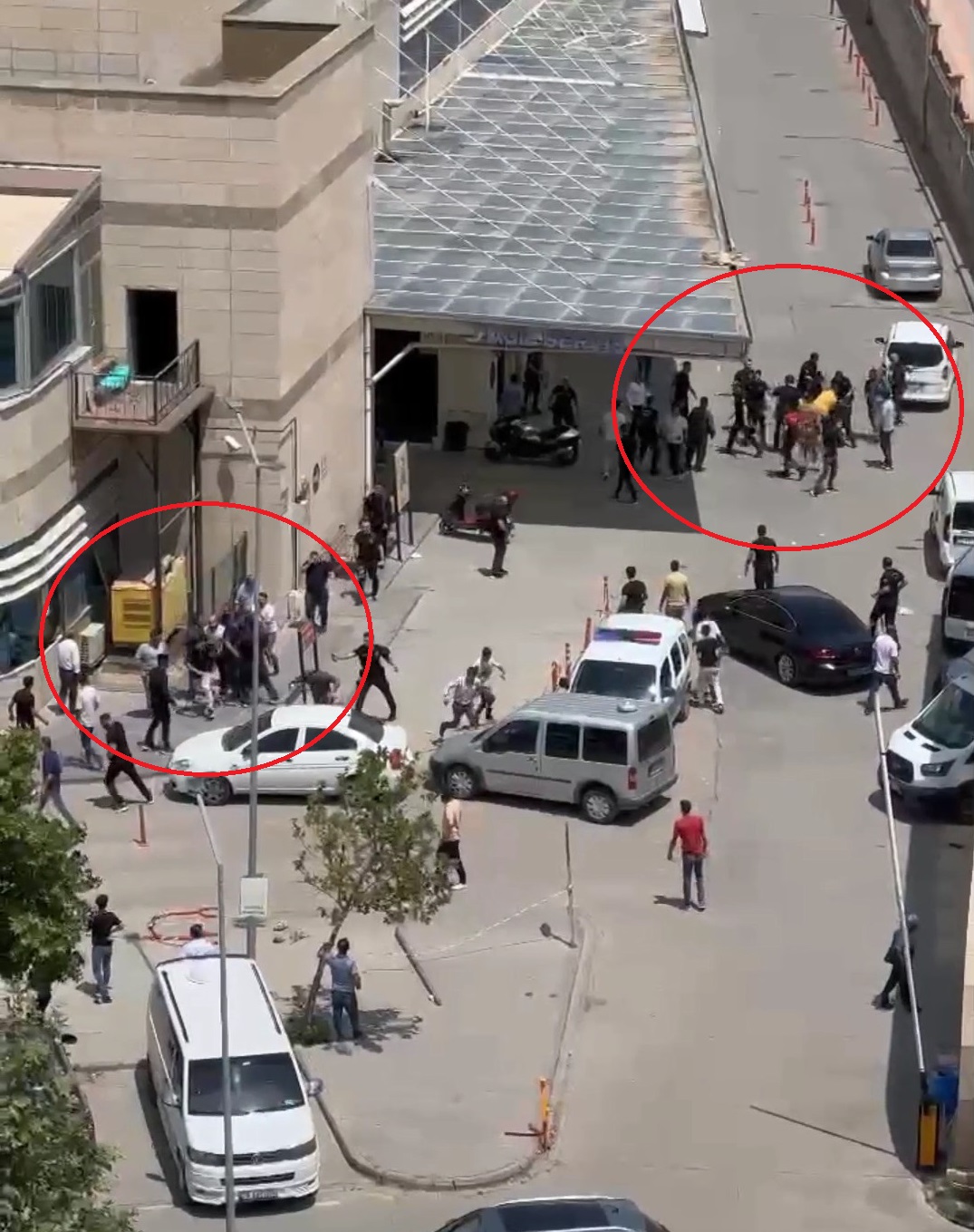 Siirt'te 'hayvan otlatma' kavgası: 5 yaralı