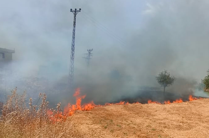 Diyarbakır'ın Çınar ilçesinde bir yangın daha çıktı