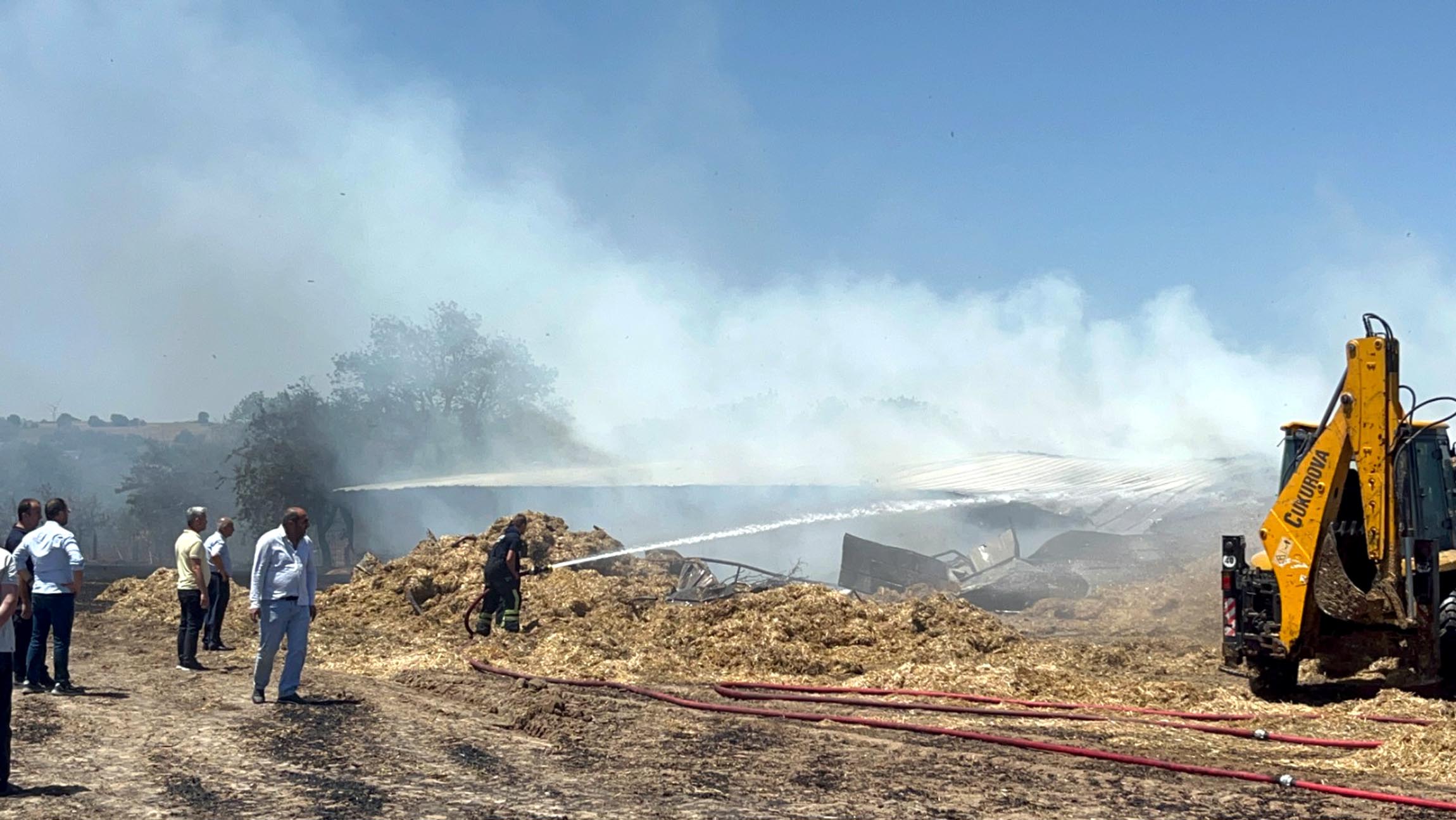Tekirdağ'da 180 dönüm ekili buğday yandı; 3 kişi dumandan etkilendi