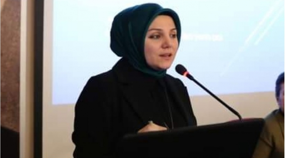 Barış Pehlivan: Zaman gazetesini öven Feyza Gizligider RTÜK'e atandı
