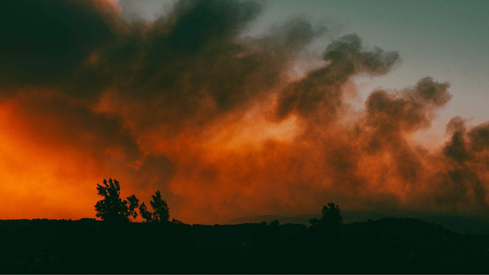 AKOM'dan orman yangını uyarısı: Risk yüksek