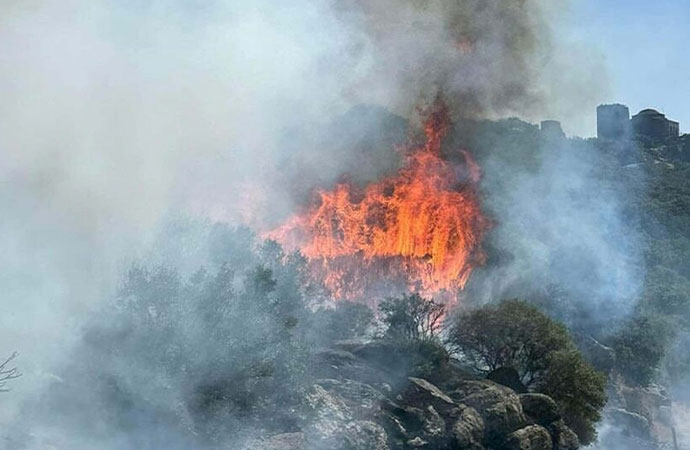 Çanakkale’de makilik alanda yangın! Alevler Assos'a tehdit ediyor