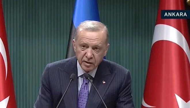 Erdoğan, Estonya Cumhurbaşkanı ile görüştü: "AB’ye tam üyelik stratejik hedefimizdir"