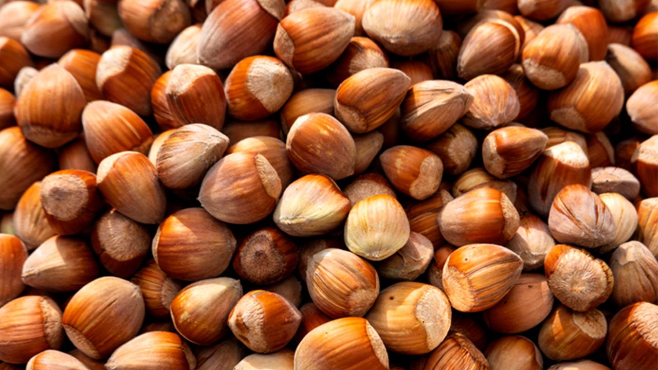 Hasan Karal’dan fındık uyarısı: Üretici belirsizliğe terk edilmemeli