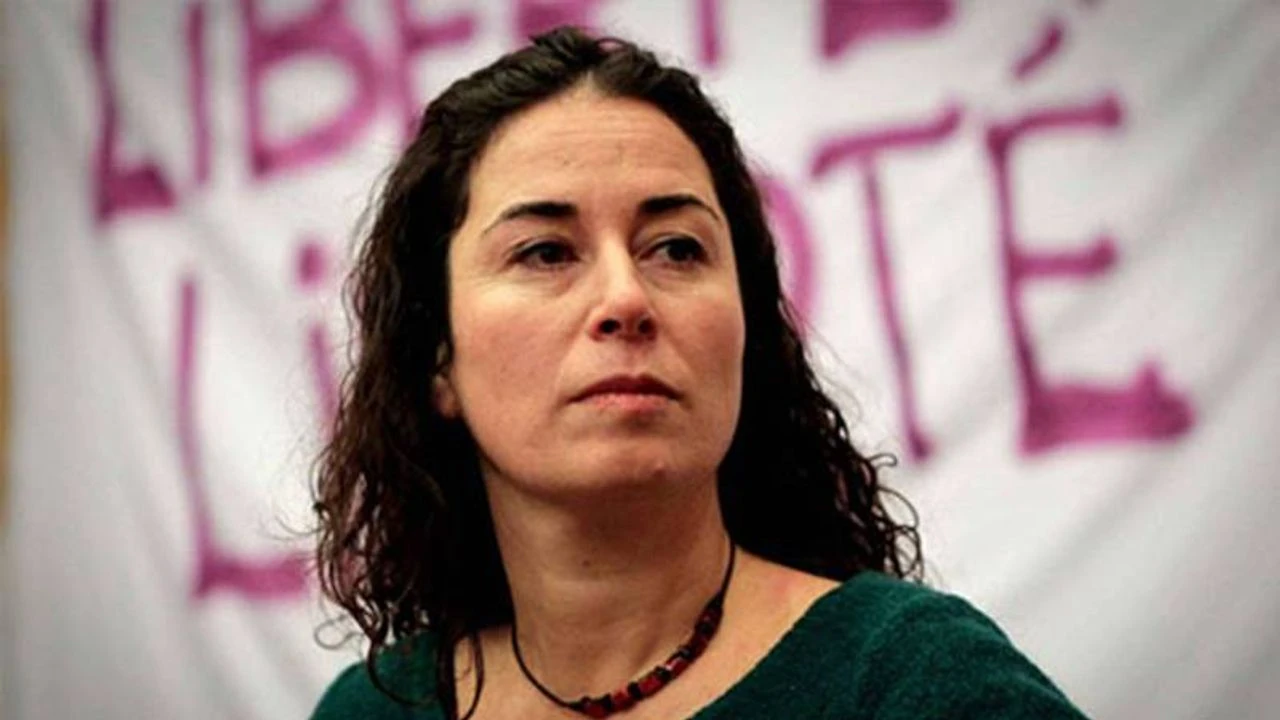 26 yıldır bitmeyen dava: Pınar Selek 6'ncı defa yargılanmaya başladı