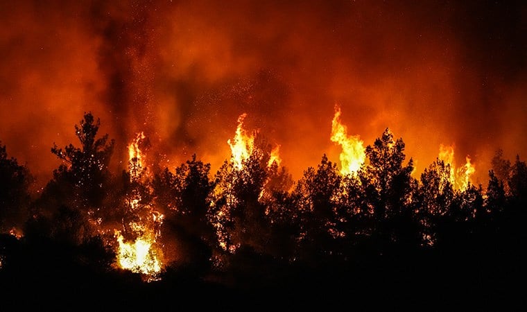 İzmir'de orman yangını büyüyor