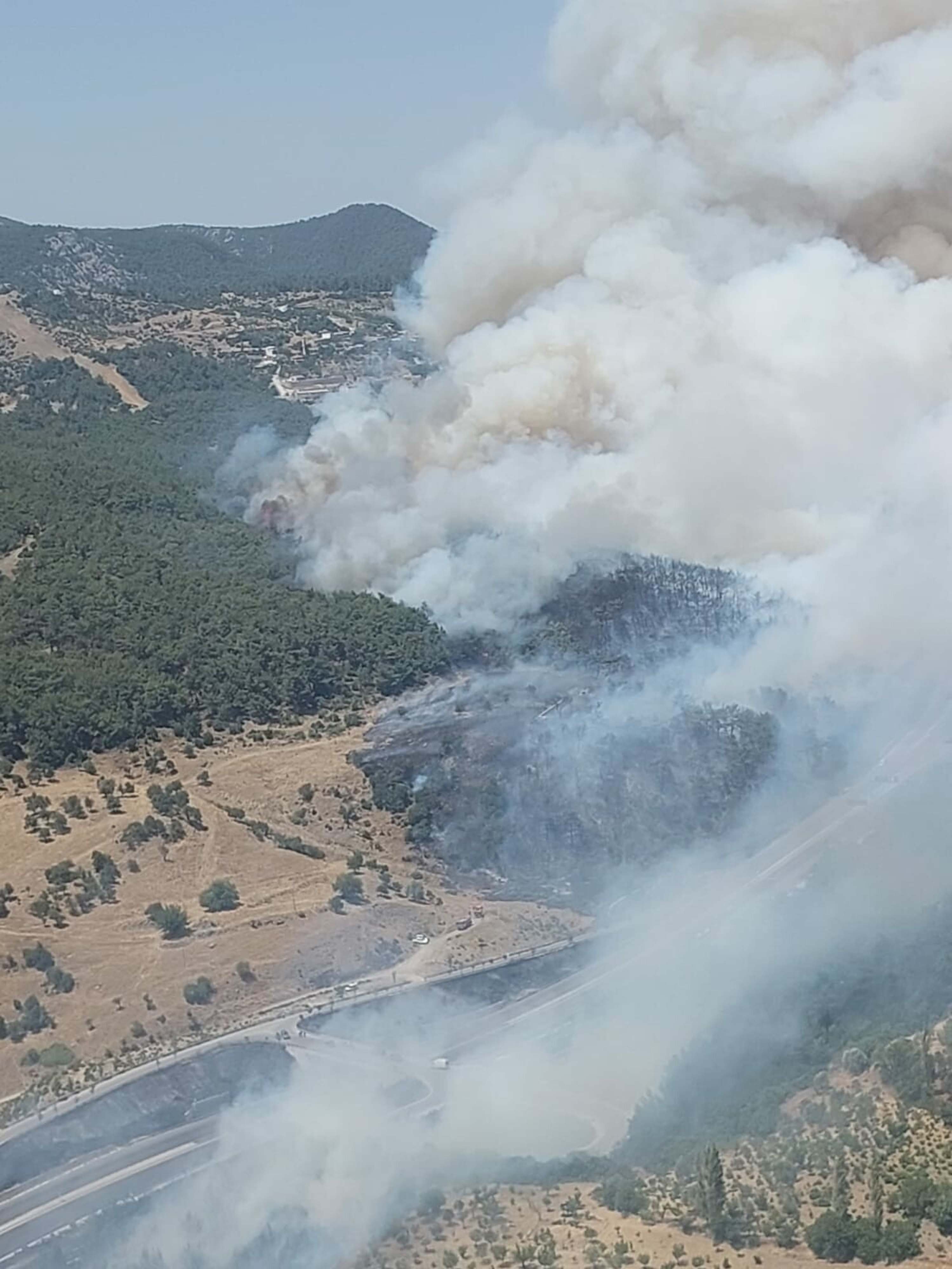 İzmir'de orman yangını kontrol altına alınamadı