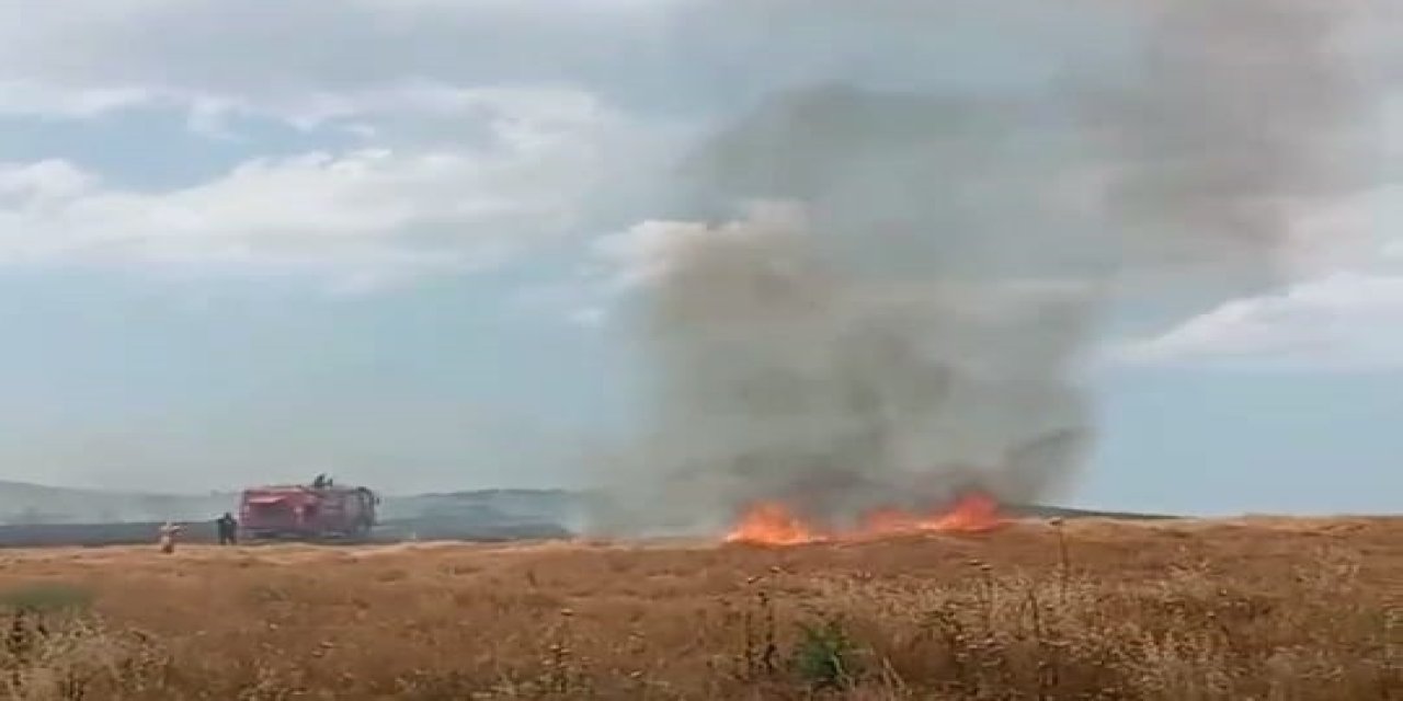 Bursa’da 20 dönüm ekili buğday yandı
