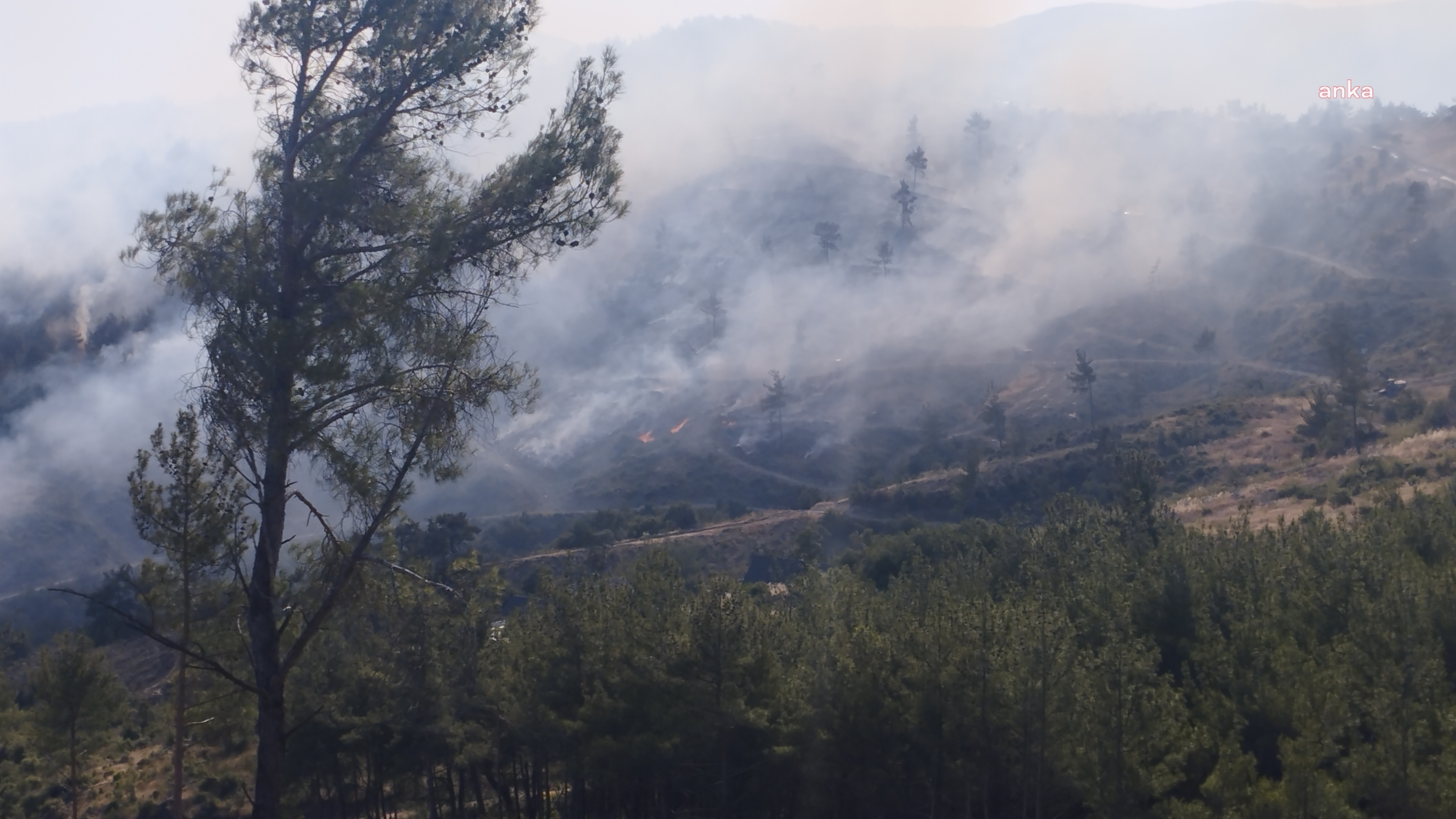 İzmir'deki orman yangını Manisa'ya yayılıyor: Köylüler tahliye edildi