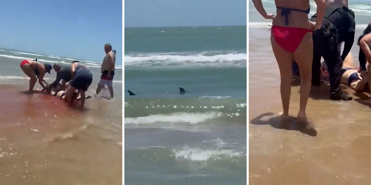 ABD'nin Texas eyaletindeki halk plajında köpek balığı saldırısı: Yaralılar var