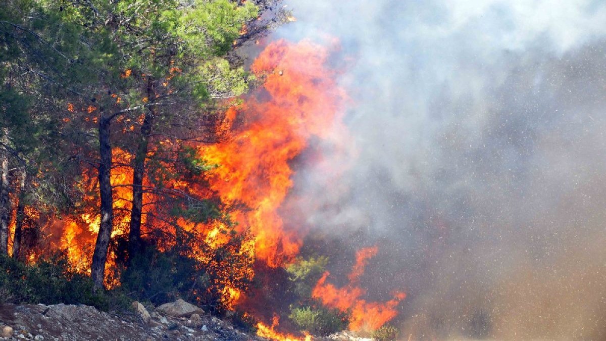 CHP'li belediyelerden orman yangıları ve çevre felaketlerine karşı işbirliği toplantısı
