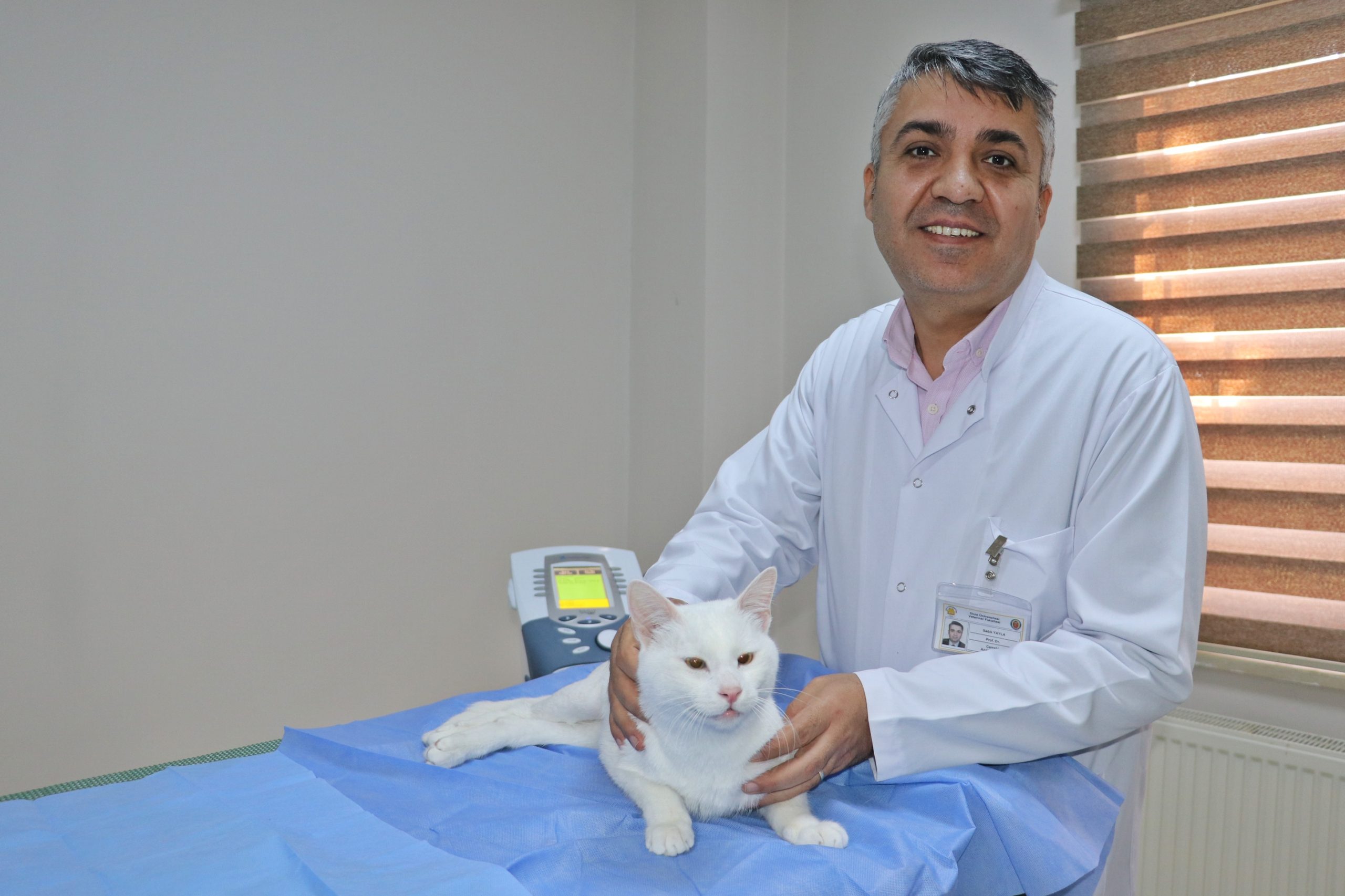 Felçli yavru müdahaleler sonucu yürümeye başladı