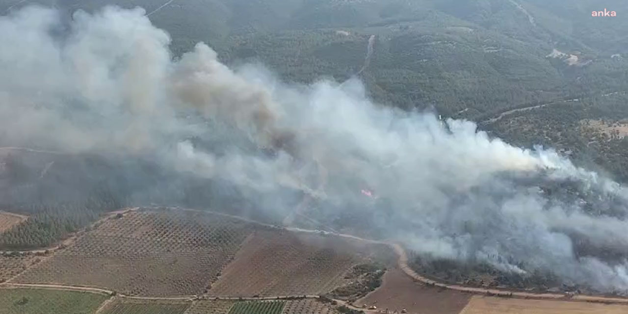 Manisa'da orman yangını: Dumanlar gökyüzünü kapladı