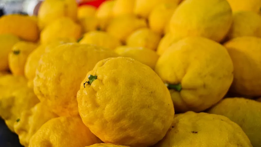 Limon üreticisi ile marketteki fiyat farkı açılıyor: Yüzde 634,4’ü buldu