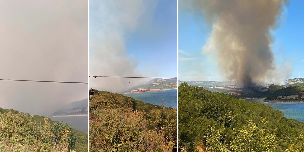Çanakkale'de orman yangını: Havadan karadan müdahale ediliyor