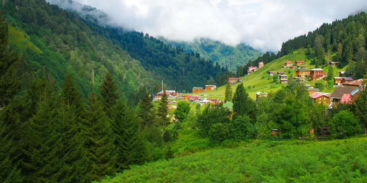 Doğu Karadeniz'de kuvvetli sağanak uyarısı