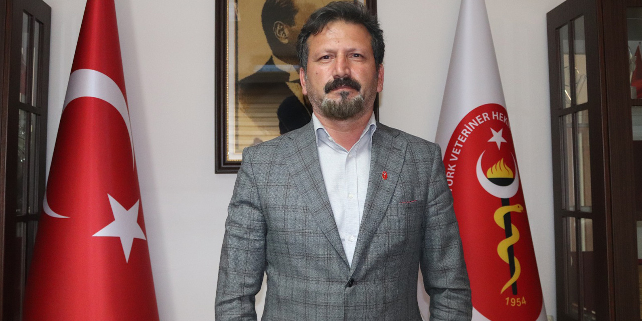 Türk Veteriner Hekimleri Birliği: Taslakta toplanan hayvanların ne olacağına ilişkin açık noktalar bulunuyor