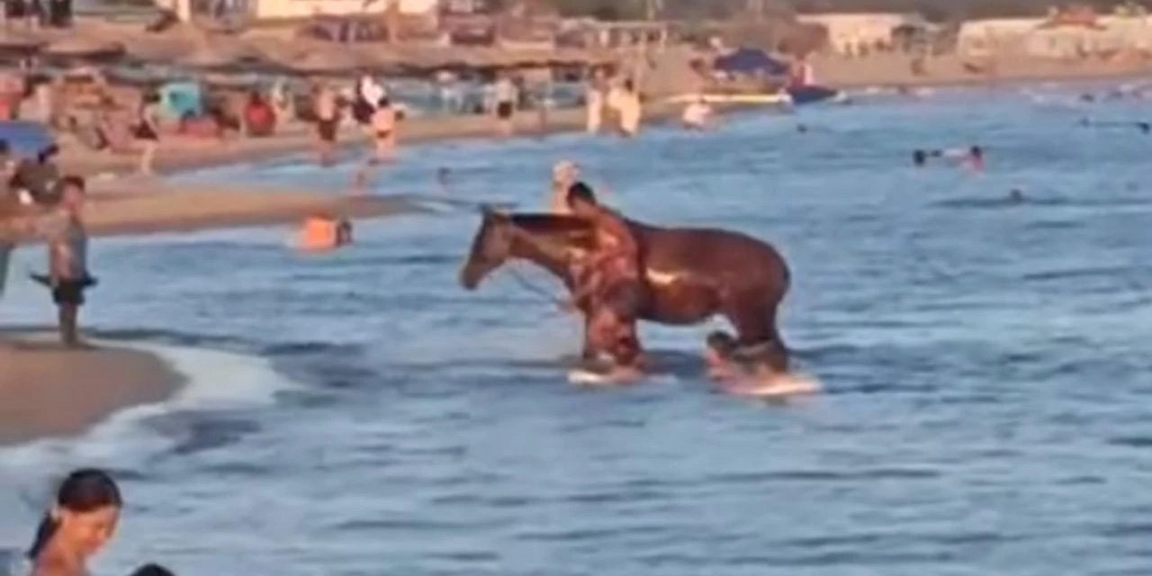 Serinlemek için atıyla birlikte denize girdi!