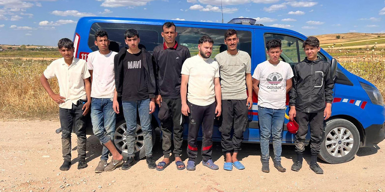 Edirne’de 8 kaçak göçmen yakalandı