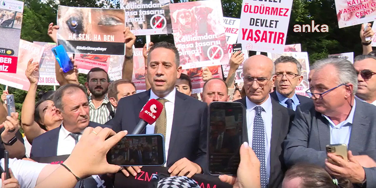 Meclis önünde ‘sokak hayvanları’ eylemi: Vekillerden ötanaziye karşı direnme çağrısı
