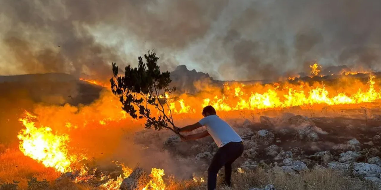 Adıyaman'da alevlerle mücadele: Vatandaşlar seferberlik başlattı