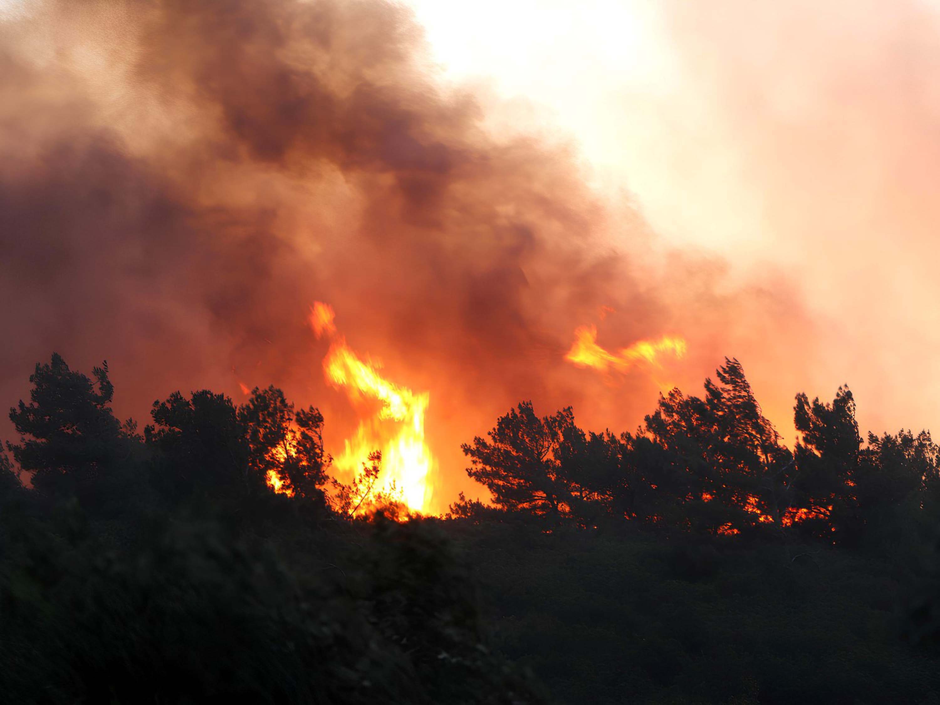 33,5 saatte kontrol altına alınmıştı: Manisa'daki yangının bilançosu ortaya çıktı