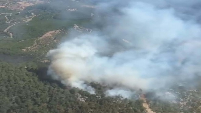 Bakan Yumaklı duyurdu: Bergama'daki orman yangını kontrol altına alındı