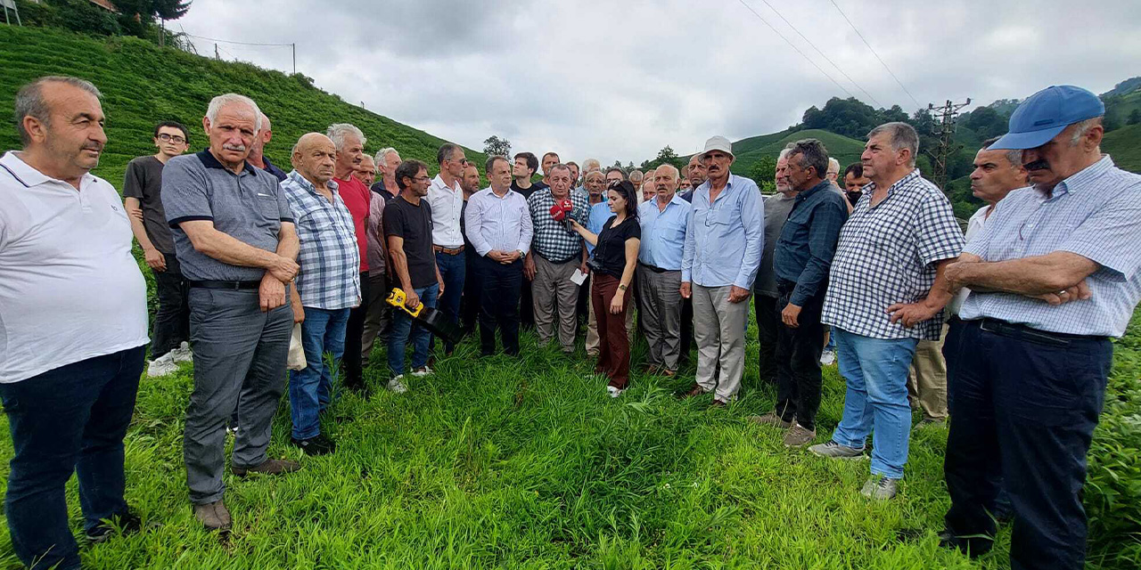 CHP'den Trabzon'da ÇAYKUR protestosu: "Amaç üreticiyi toprağından koparmak göç ettirmek"