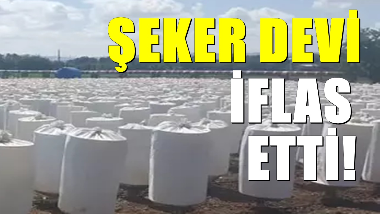 100 ülkeye ihracat yapıyordu... Türkiye'nin şeker devi iflas etti