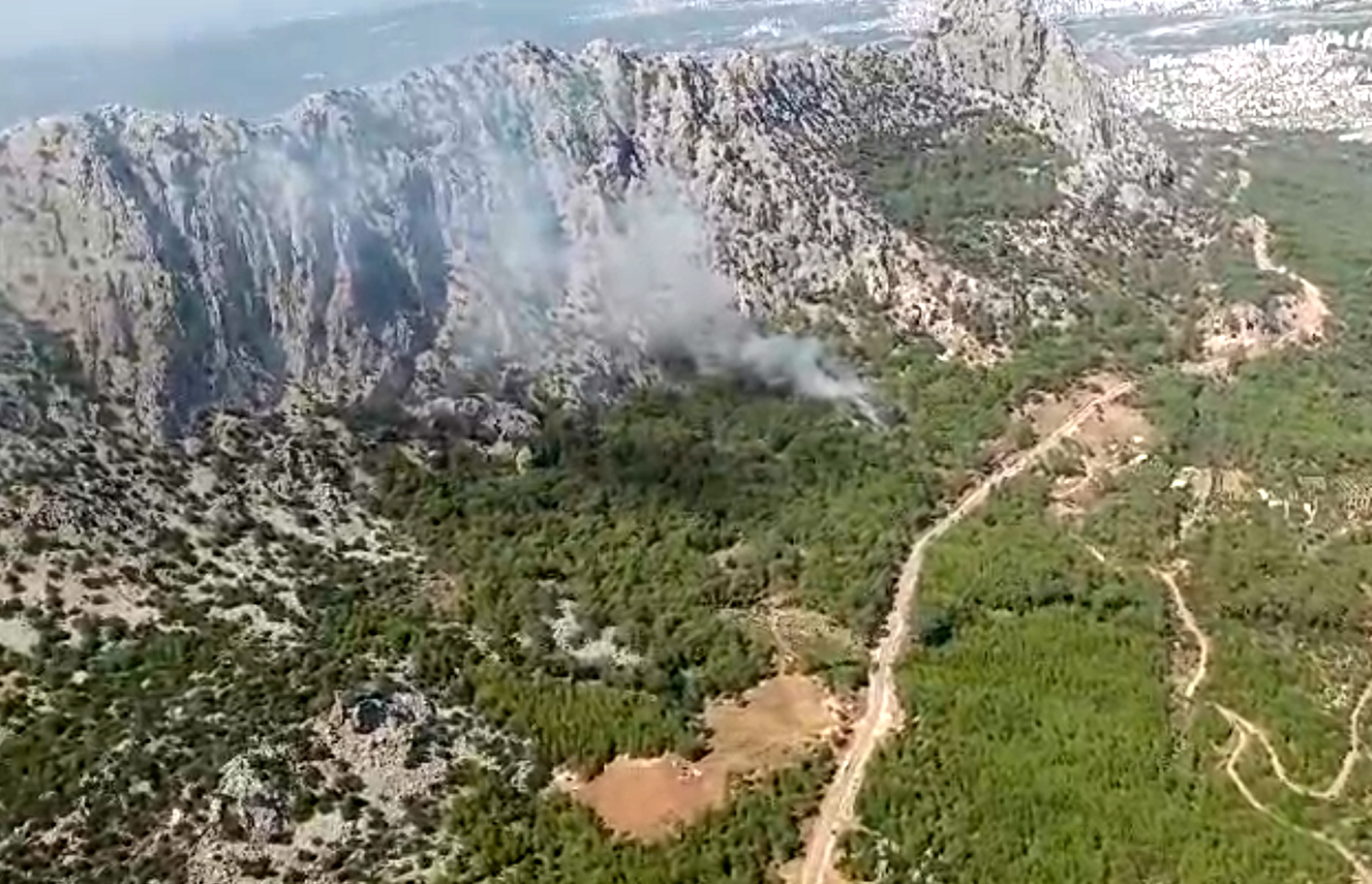 Antalya'da orman yangını: Havadan ve karadan müdahale edildi