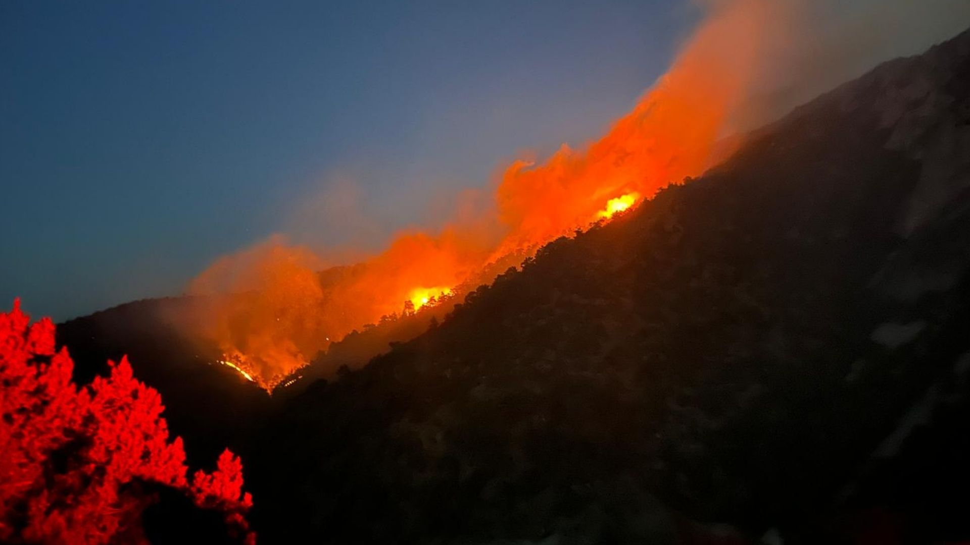 Çorum’da çıkan yangında 30 hektar alan zarar gördü