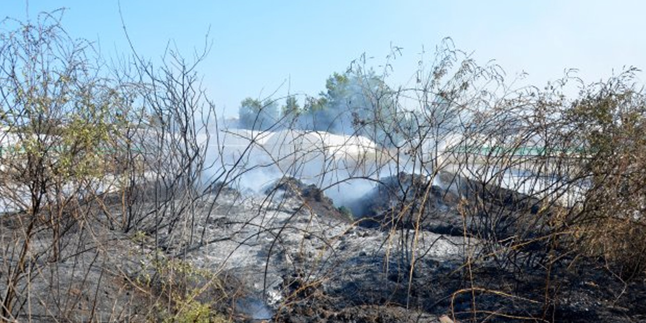 Antalya'da orman ve seralara sıçrayan yangın söndürüldü