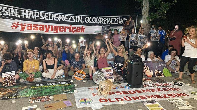 Ankara'da sokak hayvanları yasa teklifine karşı protesto
