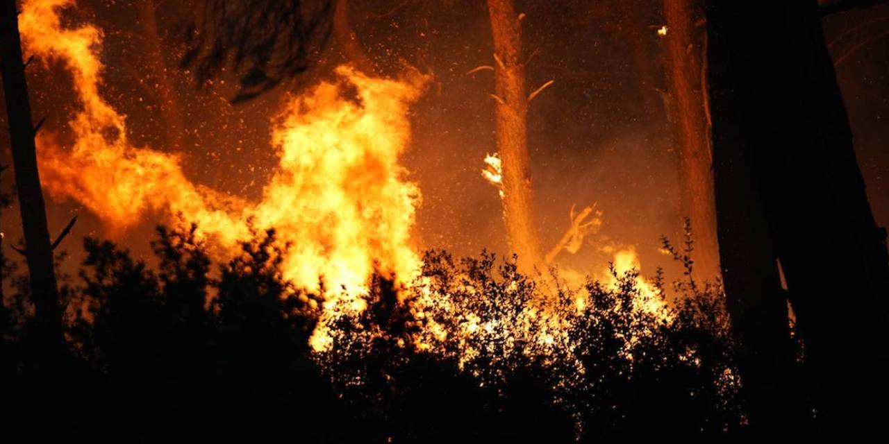 Prof. Dr. Doğan Yaşar: İzmir'de toprak kurudu, en küçük kıvılcımda çıra gibi tutuşuyor