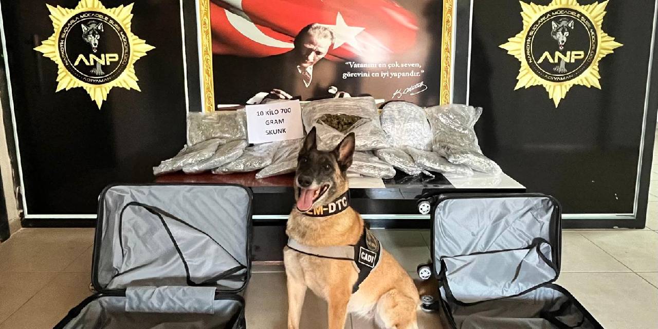 Adıyaman'da 10 kilo uyuşturucuyla yakalanan 3 şüpheliden 2'si tutuklandı