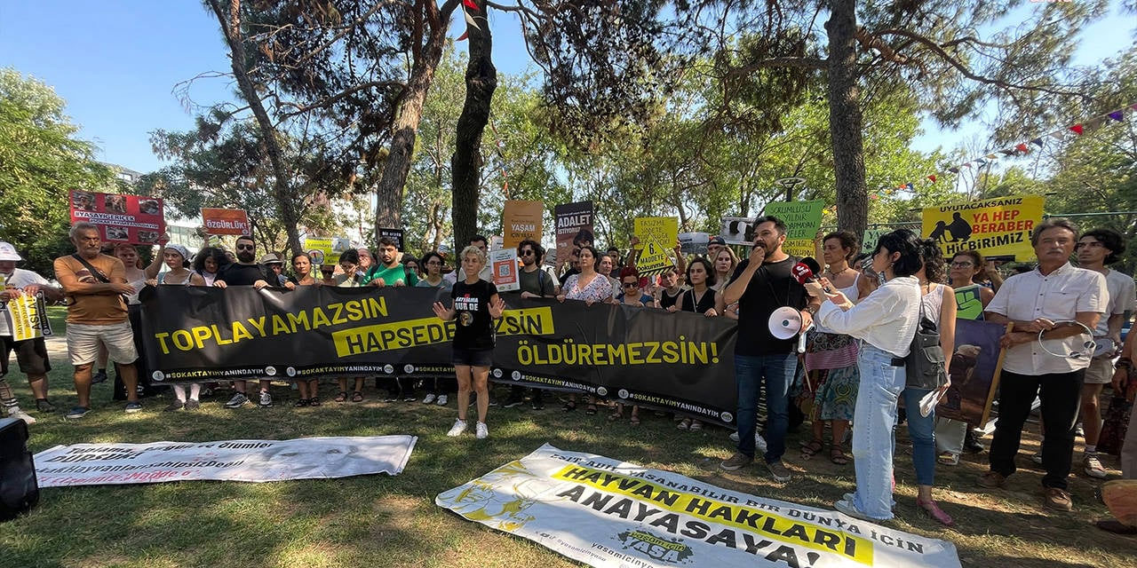 'Katliam' yasasına karşı tepki eylemleri devam ediyor: Ankara'da yurttaşlardan 'kanun teklifi' nöbeti