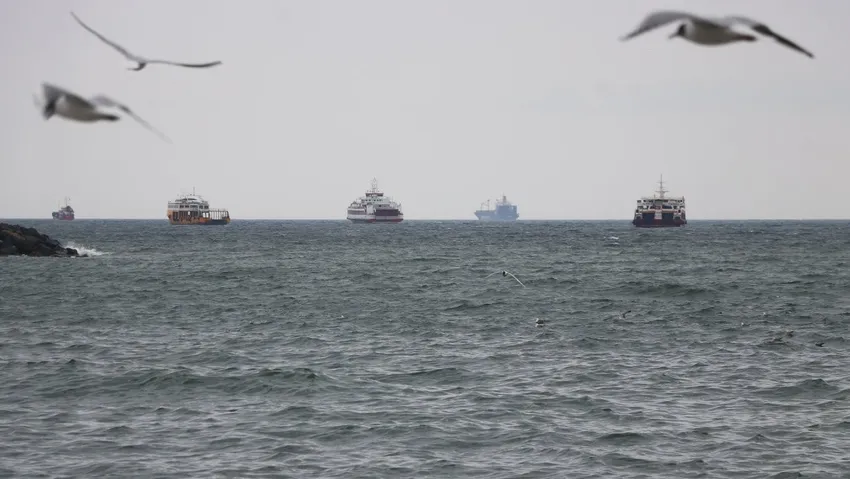 Profesör uyardı: Marmara Denizi tehlikede