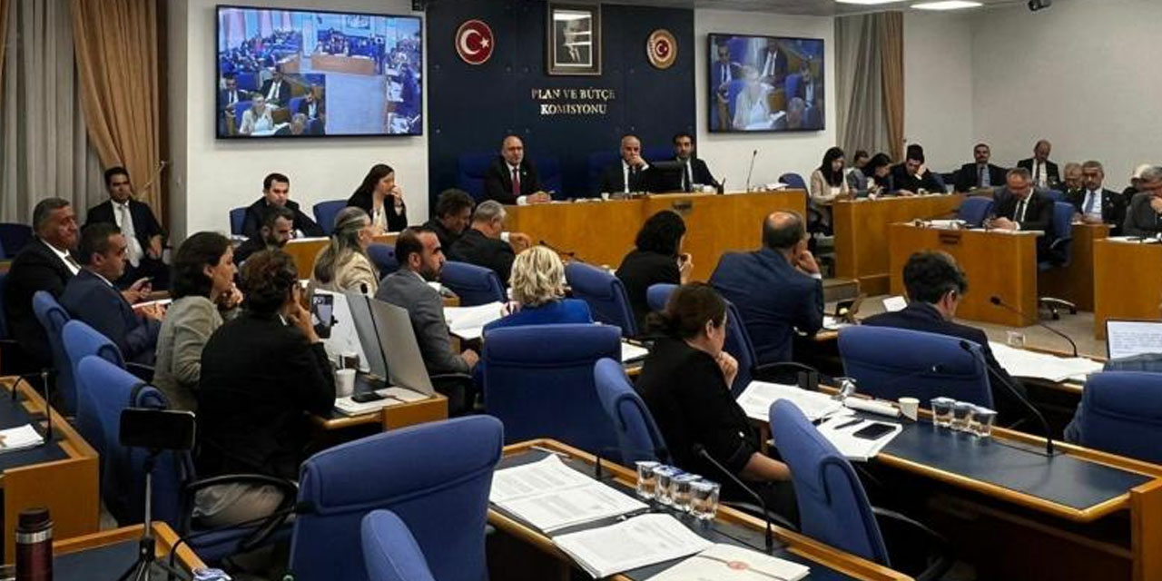 'Katliam' yasası komisyondan geçti: Sokak hayvanlarına 'ötanazi' teklifi kabul edildi